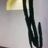 کلینیک لیزر موهای زائد (( آزاده لرکی))|خدمات آرایشگری و زیبایی|اهواز, کوی باهنر|دیوار