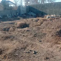 زمین سند دار