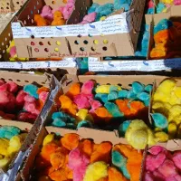 فروشگاه جوجه یکروزه