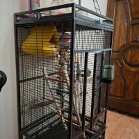 قفس پرنده|لوازم جانبی حیوانات|تهران, سوهانک|دیوار