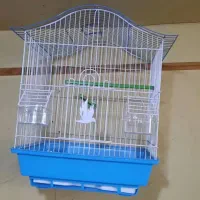 گارگر ساده خانم