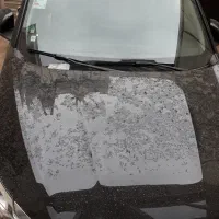 رنو پی کی اسقاط شده به فیدلیتی الیت ۵نفره