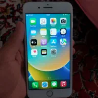 iPhone ۸ plus 256GB|موبایل|مشهد, شهید قربانی|دیوار