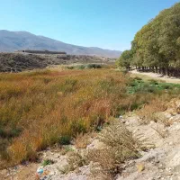 استخدام مهندس کشاورزی - آبیاری و زهکشی