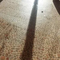 اجاره مغازه