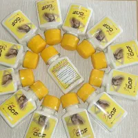 محلول ضد رشک و شپش صددرصد تضمینی