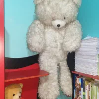 خرس دو متری