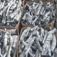 عمده ذغال پسته قلم سفید تضمینی