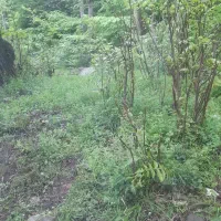 نقاشی ساختمان و ایزوگام انجام داده میشود