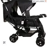 کالسکه دوقلوی  دلیجان