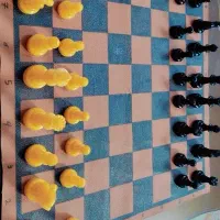 شطرنج رزین و صفحه چرم