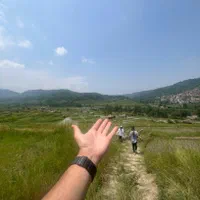 فروش زمین باغی کشاورزی لفور روستای کالیکلا|فروش زمین و ملک کلنگی|آلاشت, |دیوار