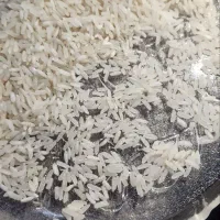 پخش عمده برنج پاکستانی خوشپخت