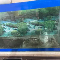 اکواریوم