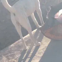 فقط زنگ بزنید