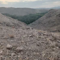 زمین ویلایی مدیسه ،باغشاد