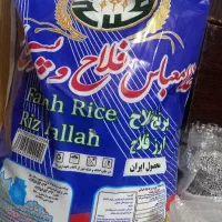 برنج فلاح و پسران ایرانی