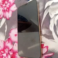 آیفون 12پرو|موبایل|تربت جام, علوی|دیوار