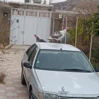 فروش بوقلمون