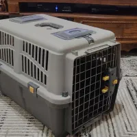 باکس سگ و گربه سایز بزرگ|لوازم جانبی حیوانات|جیرفت, |دیوار