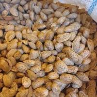 فروش بادام پوست کاغذی