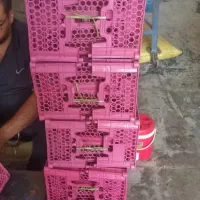 فروش انواع سبد انگوری  ومیوه سیب  موجود هست|خدمات باغبانی و درختکاری|خور (فارس), |دیوار