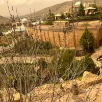 تهیه غذا و بیرون بر داووس