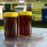 عسل نیمه تغذیه و طبیعی