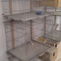 قفس پرنده،لانه،لونه،|لوازم جانبی حیوانات|قم, شهرک مهدیه (مدرس)|دیوار