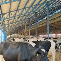 سوله سازی پرتال|خدمات پیشه و مهارت|نجفآباد, ویلاشهر|دیوار