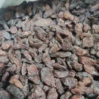 کشمش ستارخان