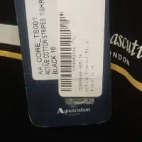 تیشرت مردانه اورجینال از برند انگلیسی|لباس|تهران, سوهانک|دیوار