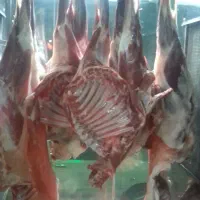 گوشت گوسفند کله پاچه سیراب جگر دل قلوه