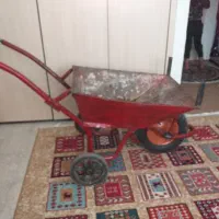 فرغون کاملا سالم