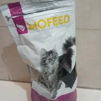 بچه گربه|گربه|حمیدیا, |دیوار