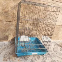 قفس طوطی|لوازم جانبی حیوانات|چهارباغ, |دیوار