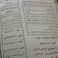 کود اوره سفید ریز