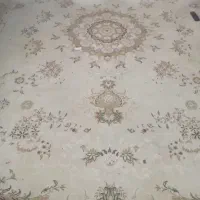 فرش ۱۲متری سه عددها یک دوچرخه|فرش|ملارد, |دیوار