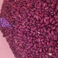 لوبیا قرمز و لوبیا اشی