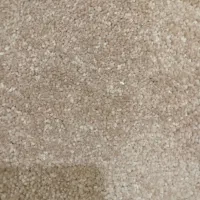 حراج موکت پالاز|حراج|اهواز, سلطانمنش|دیوار