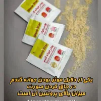 تپلی صورت باجوانه گندم|آرایشی، بهداشتی، درمانی|بروجرد, |دیوار