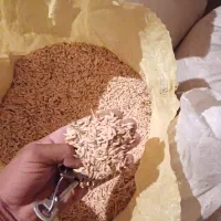 یونجه|لوازم جانبی حیوانات|قوچان, |دیوار