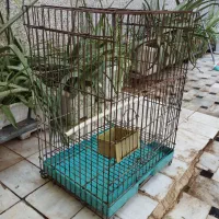 قفس و لونه