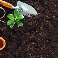 خاک باغچه و کود حیوانی|خدمات باغبانی و درختکاری|مشهد, توس (بلوار توس)|دیوار