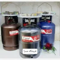 پیک نیک پیکنیک استاندارد۵کیلویی