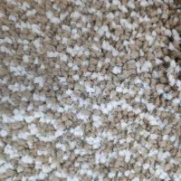 پالاز موکت نو با تراکم بالا|موکت|چمران, |دیوار