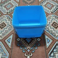 ظروف نگهدارنده|ظروف نگهدارنده، پلاستیکی، یک‌بارمصرف|بندرعباس, |دیوار