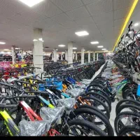 2چرخه بزرگسال ویوا مدل راتلر