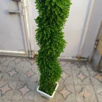 پیچک مصنوعی