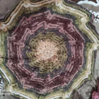 کلاه و دستکش|لباس|پرند, فاز ۵|دیوار